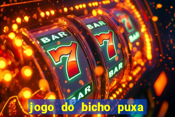 jogo do bicho puxa de dona maria